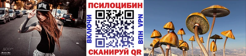 Псилоцибиновые грибы Psilocybine cubensis Владивосток